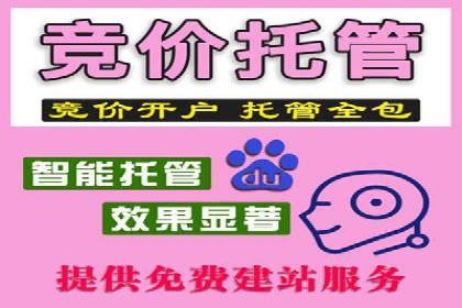 百度竞价广告代运营的五大优势及在某行业的成功应用